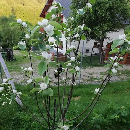 Séjour chez l'habitant Pod Bukami *
