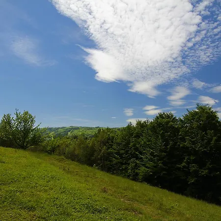 Pod Bukami Séjour chez l'habitant Wisła