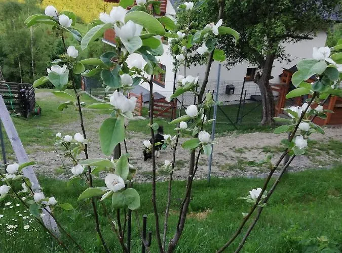 Homestay Pod Bukami *