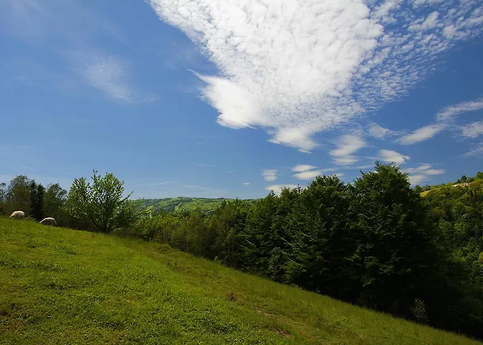 Pod Bukami Homestay Wisla